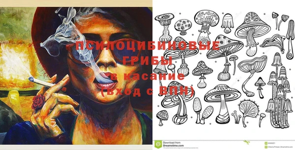 герыч Туринск