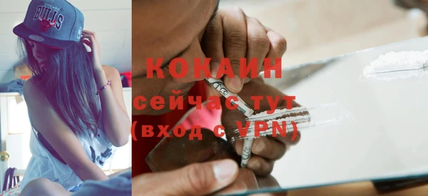 ПСИЛОЦИБИНОВЫЕ ГРИБЫ Тында