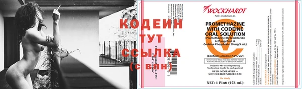 ПСИЛОЦИБИНОВЫЕ ГРИБЫ Тында