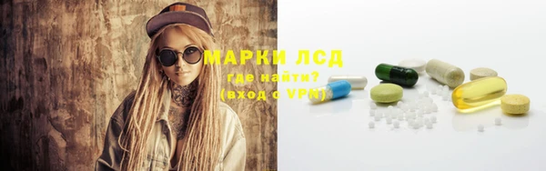 ПСИЛОЦИБИНОВЫЕ ГРИБЫ Тында