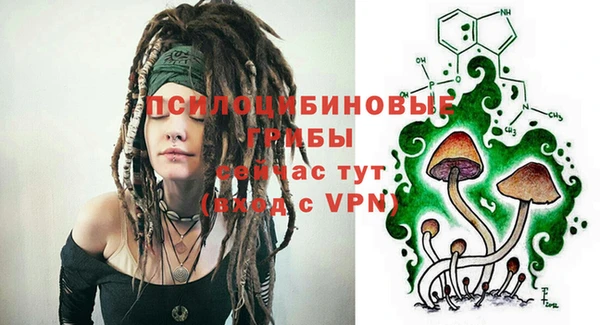 ПСИЛОЦИБИНОВЫЕ ГРИБЫ Тында