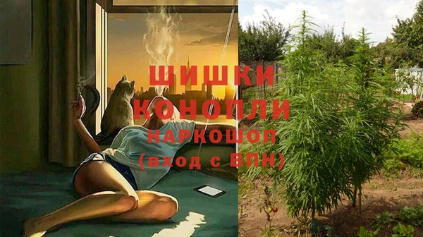 тгк Тутаев